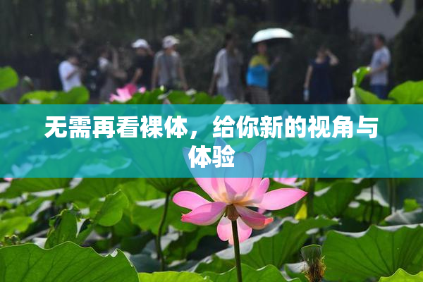 无需再看裸体，给你新的视角与体验