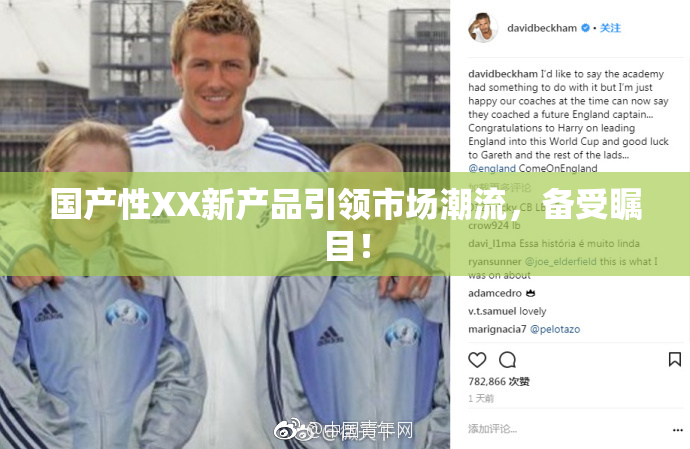 国产性XX新产品引领市场潮流，备受瞩目！