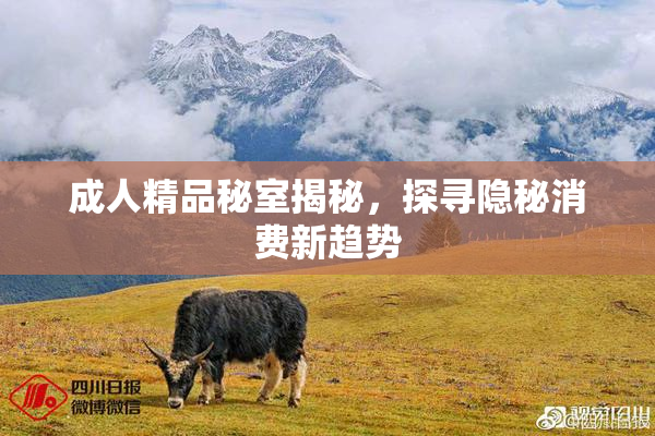 成人精品秘室揭秘，探寻隐秘消费新趋势