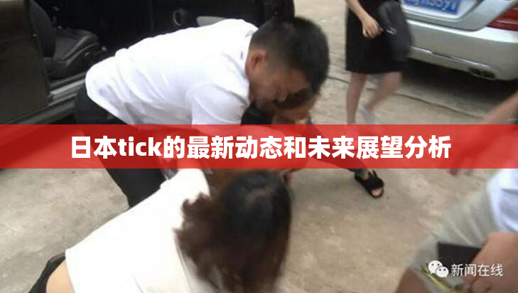 日本tick的最新动态和未来展望分析