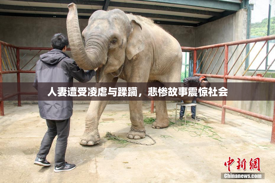 人妻遭受凌虐与蹂躏，悲惨故事震惊社会