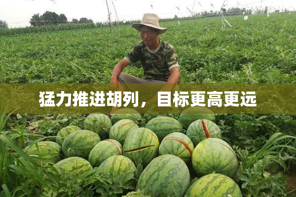 猛力推进胡列，目标更高更远