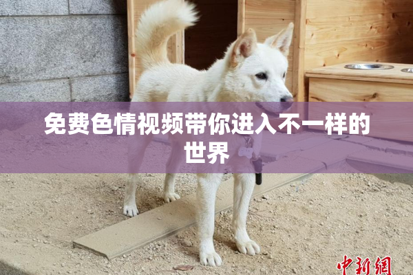 免费色情视频带你进入不一样的世界