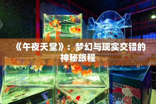 《午夜天堂》：梦幻与现实交错的神秘旅程