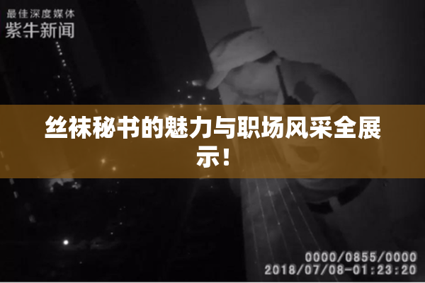 丝袜秘书的魅力与职场风采全展示！