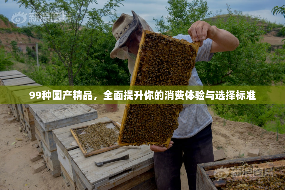 99种国产精品，全面提升你的消费体验与选择标准