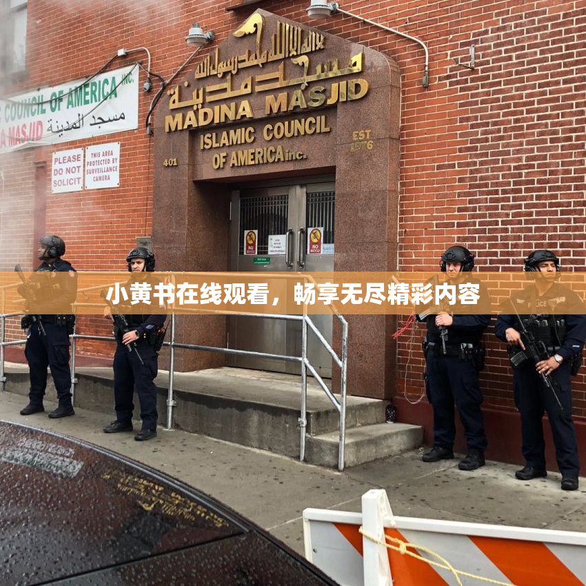 小黄书在线观看，畅享无尽精彩内容