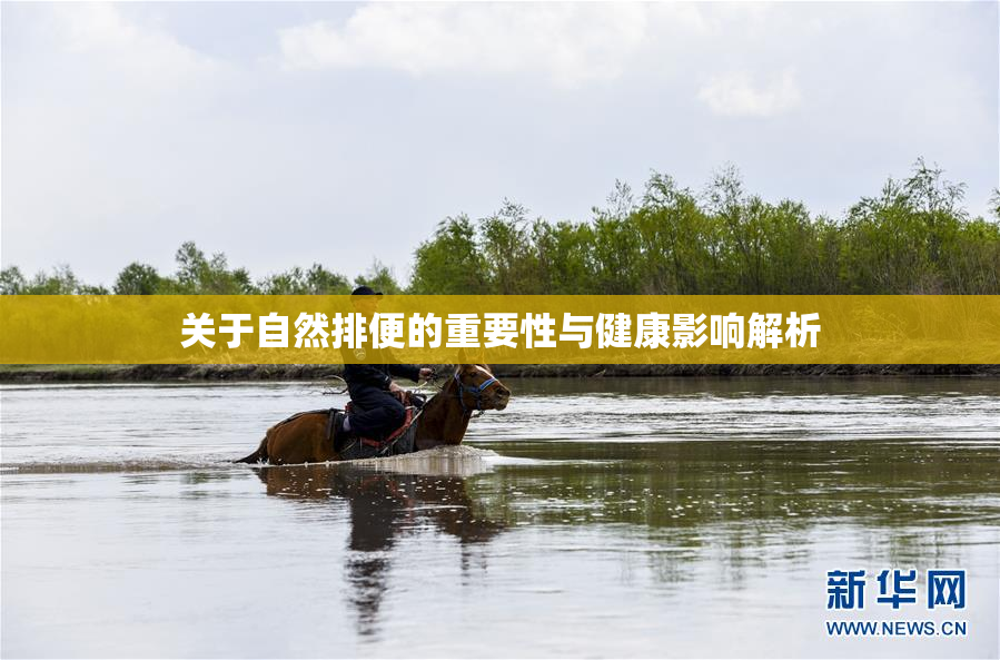 关于自然排便的重要性与健康影响解析