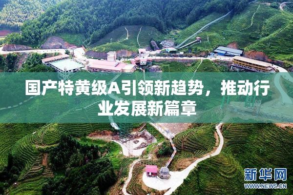 国产特黄级A引领新趋势，推动行业发展新篇章