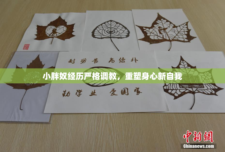 小胖奴经历严格调教，重塑身心新自我