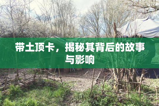 带土顶卡，揭秘其背后的故事与影响
