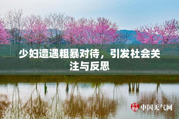 少妇遭遇粗暴对待，引发社会关注与反思