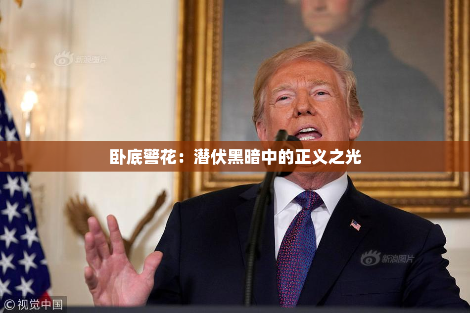 卧底警花：潜伏黑暗中的正义之光