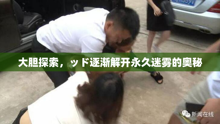 大胆探索，ッド逐渐解开永久迷雾的奥秘