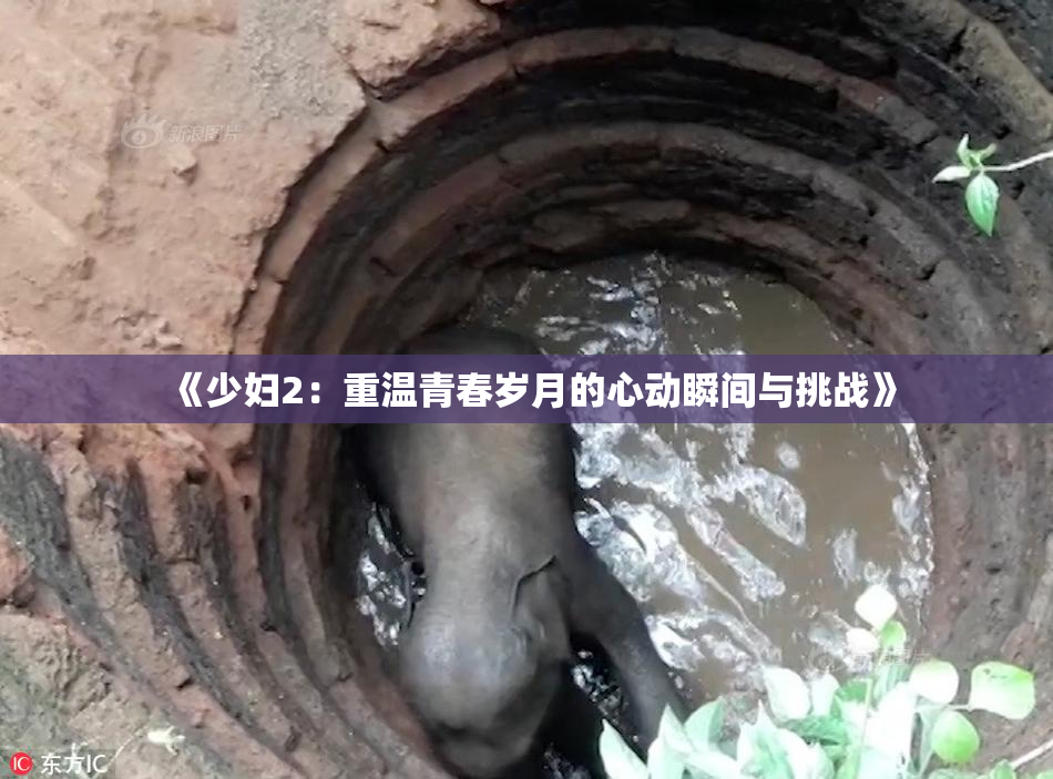 《少妇2：重温青春岁月的心动瞬间与挑战》