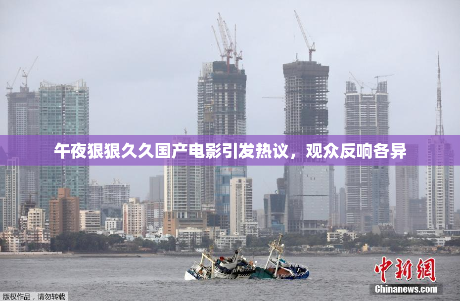 午夜狠狠久久国产电影引发热议，观众反响各异