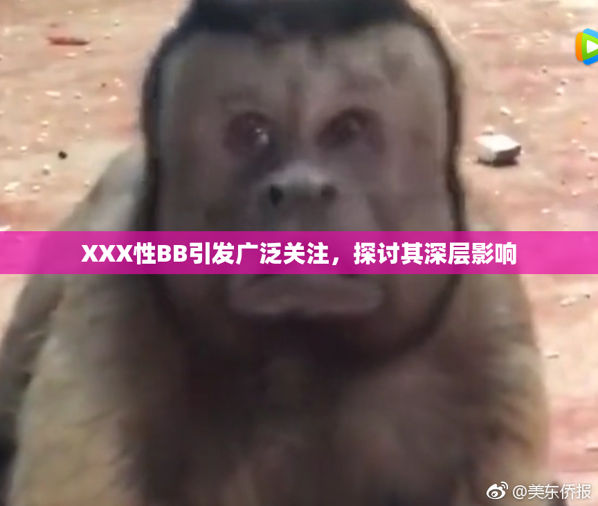 XXX性BB引发广泛关注，探讨其深层影响