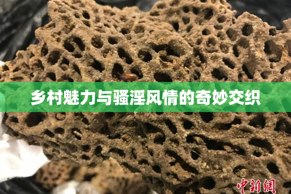 乡村魅力与骚淫风情的奇妙交织