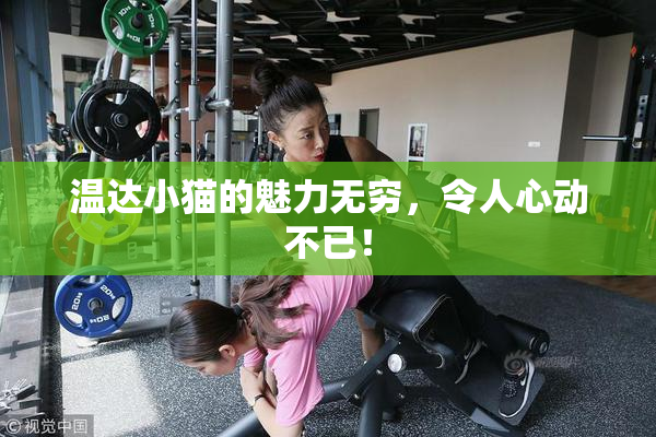 温达小猫的魅力无穷，令人心动不已！