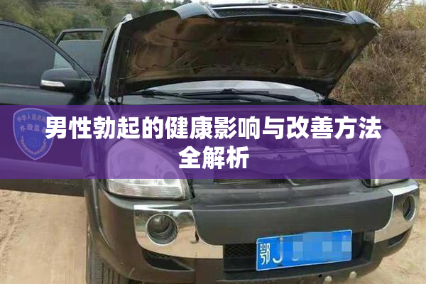 男性勃起的健康影响与改善方法全解析