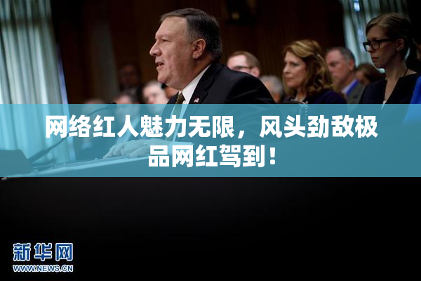 网络红人魅力无限，风头劲敌极品网红驾到！