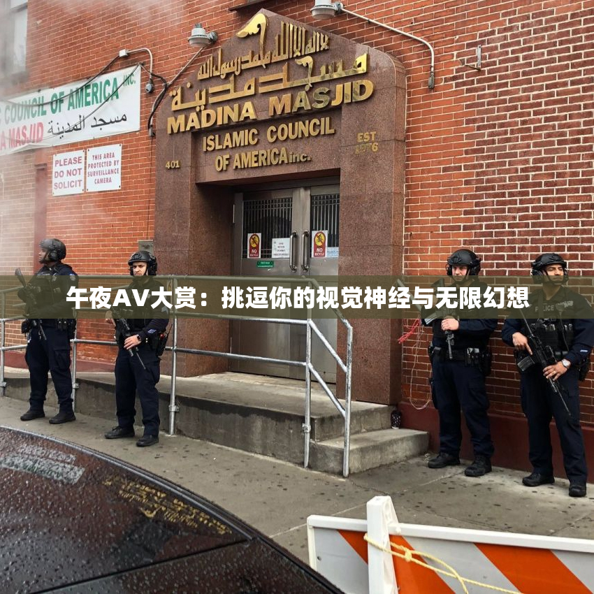 午夜AV大赏：挑逗你的视觉神经与无限幻想