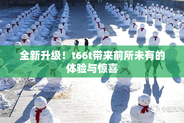 全新升级！t66t带来前所未有的体验与惊喜