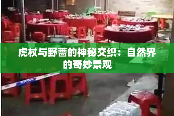 虎杖与野蔷的神秘交织：自然界的奇妙景观