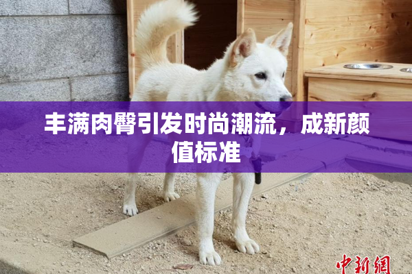 丰满肉臀引发时尚潮流，成新颜值标准