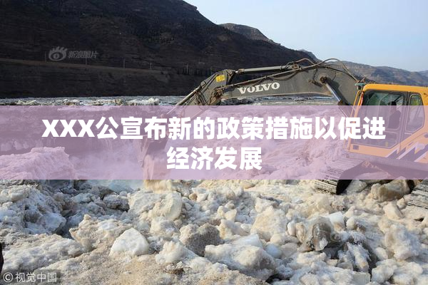 XXX公宣布新的政策措施以促进经济发展