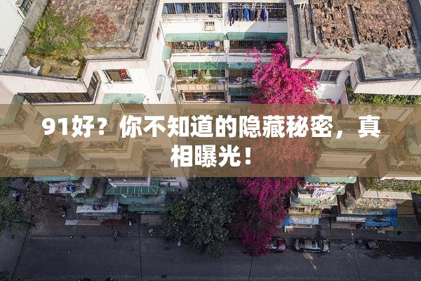 91好？你不知道的隐藏秘密，真相曝光！