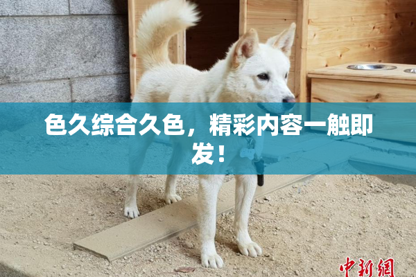 色久综合久色，精彩内容一触即发！