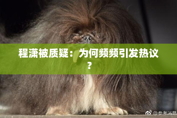 程潇被质疑：为何频频引发热议？