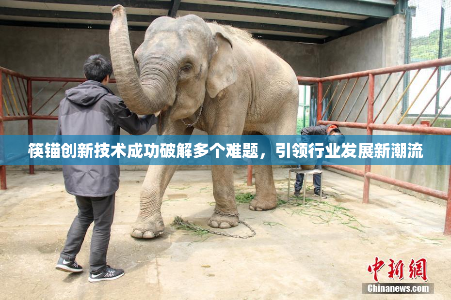 筷锚创新技术成功破解多个难题，引领行业发展新潮流