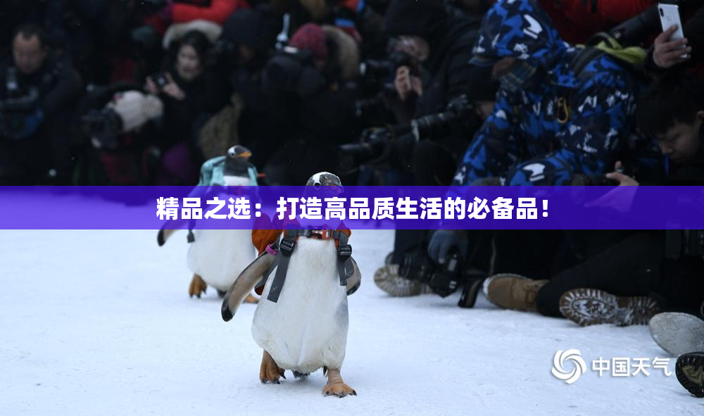 精品之选：打造高品质生活的必备品！