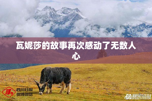 瓦妮莎的故事再次感动了无数人心
