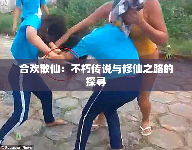 合欢散仙：不朽传说与修仙之路的探寻