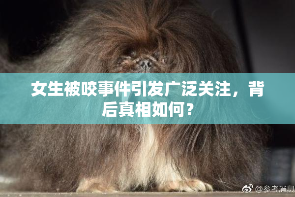 女生被咬事件引发广泛关注，背后真相如何？