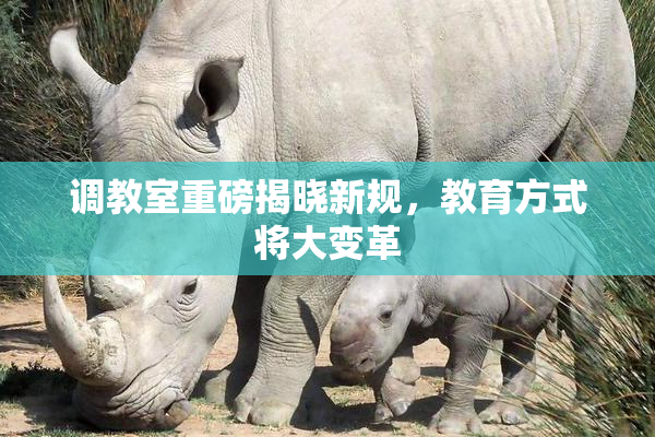 调教室重磅揭晓新规，教育方式将大变革
