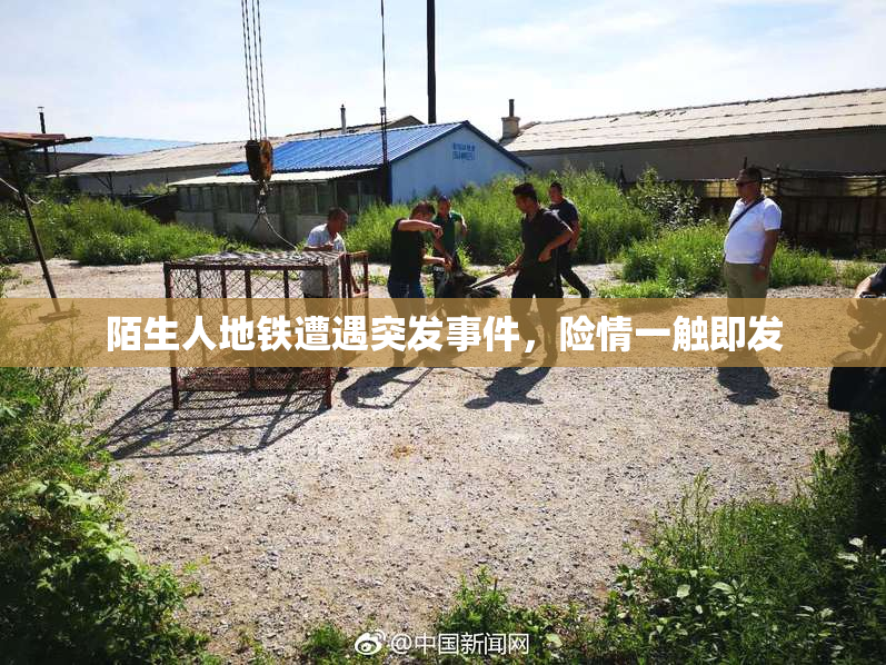 陌生人地铁遭遇突发事件，险情一触即发