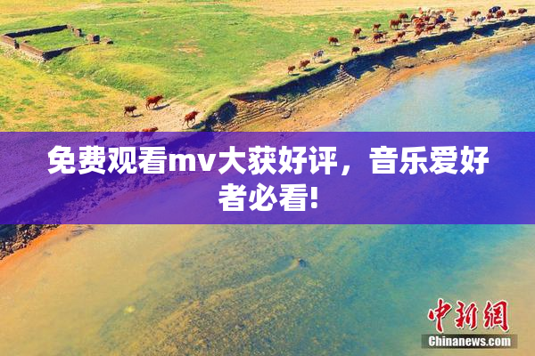 免费观看mv大获好评，音乐爱好者必看!