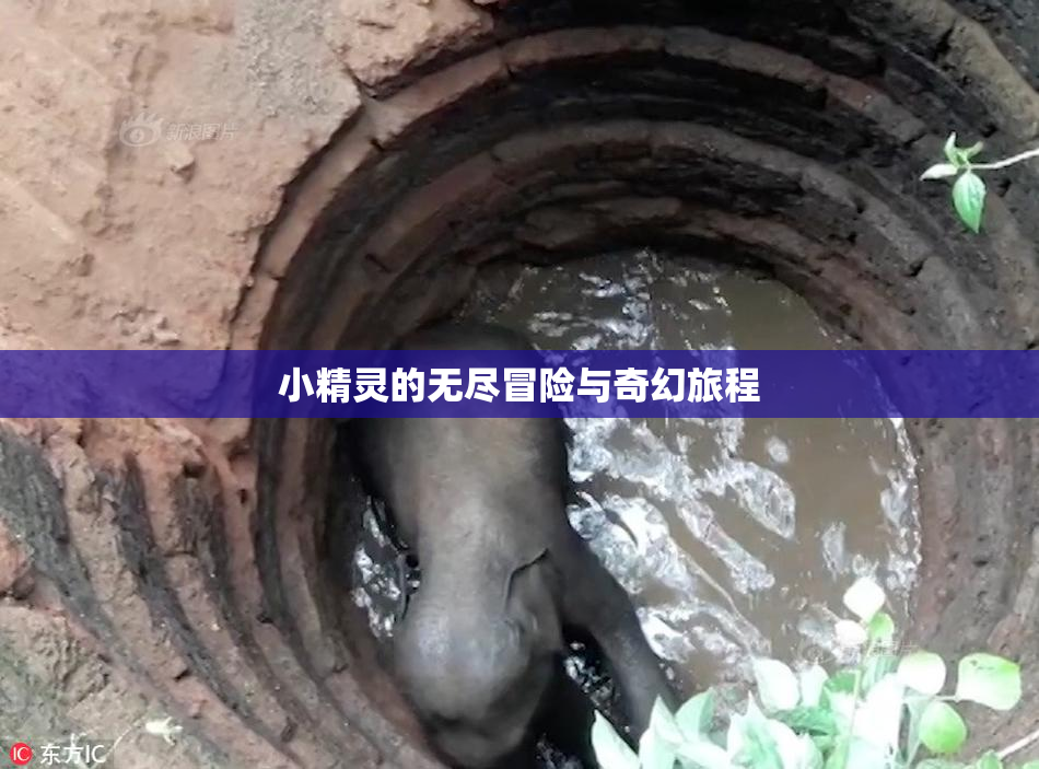 小精灵的无尽冒险与奇幻旅程
