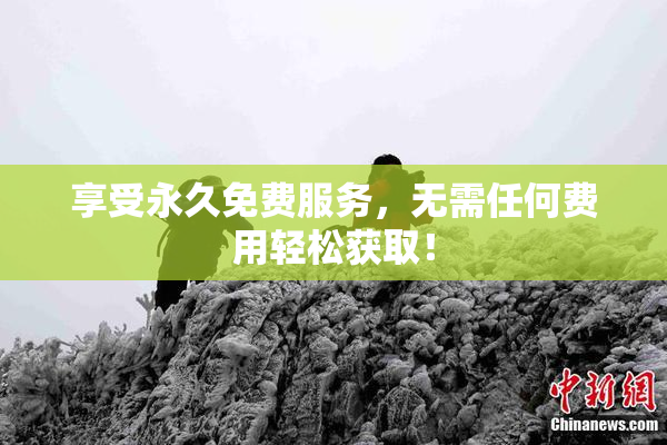 享受永久免费服务，无需任何费用轻松获取！