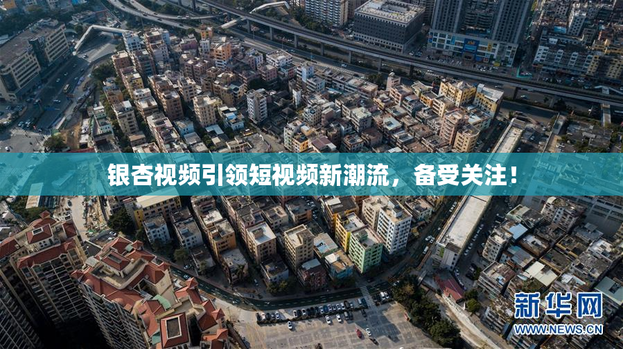 银杏视频引领短视频新潮流，备受关注！