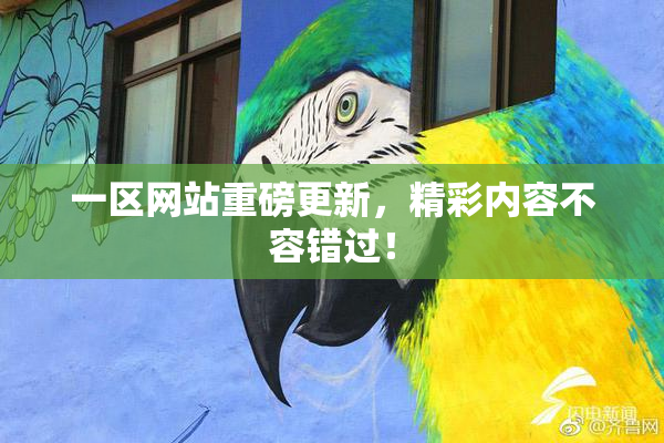 一区网站重磅更新，精彩内容不容错过！