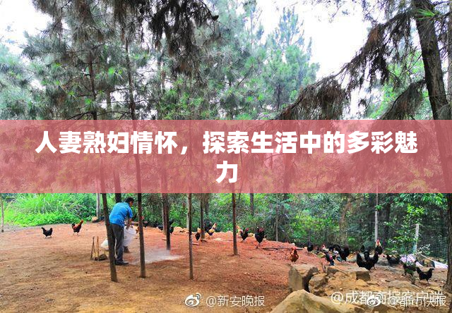 人妻熟妇情怀，探索生活中的多彩魅力