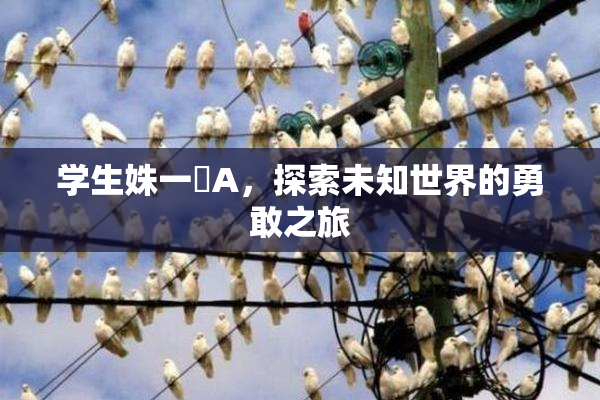 学生姝一﨤A，探索未知世界的勇敢之旅