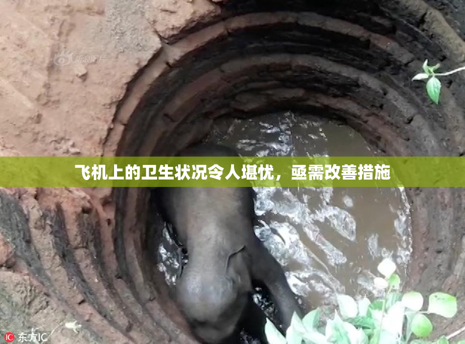 飞机上的卫生状况令人堪忧，亟需改善措施