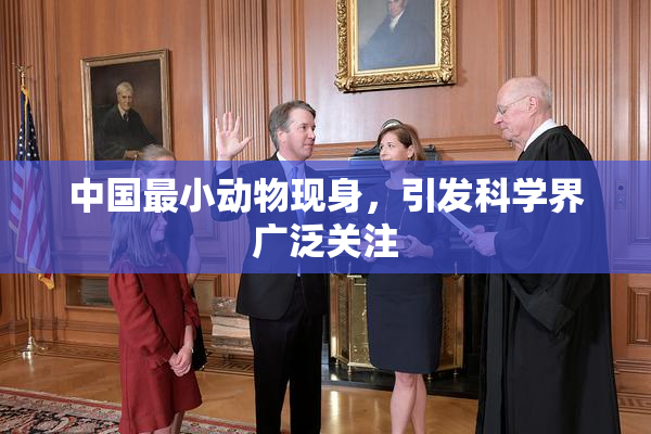 中国最小动物现身，引发科学界广泛关注