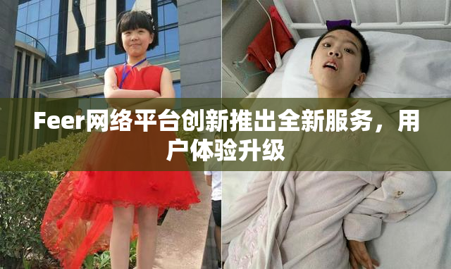 Feer网络平台创新推出全新服务，用户体验升级